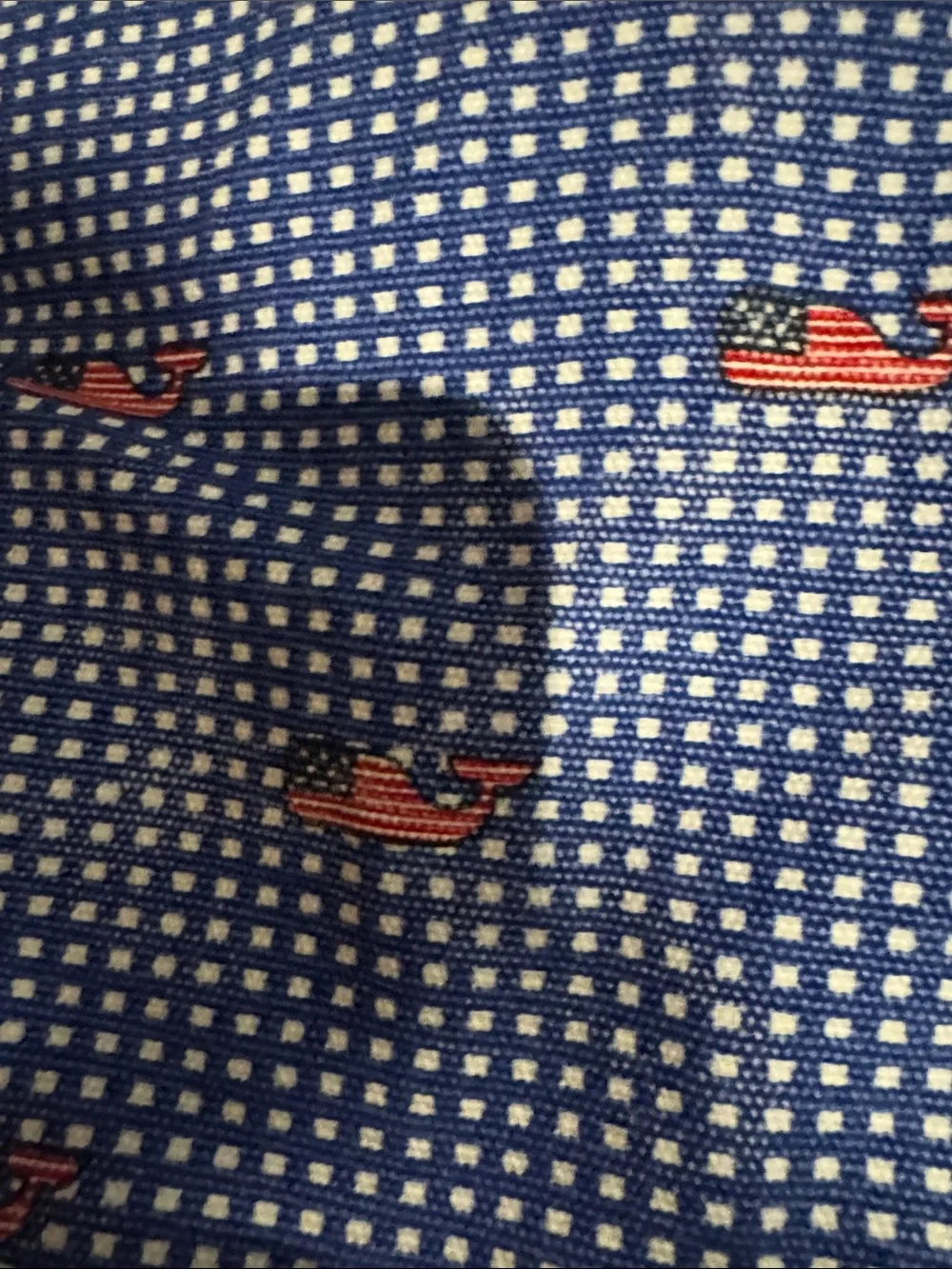 Vineyard Vines Wine picnic bag / Blue Checked Tote with Red Whale Motif